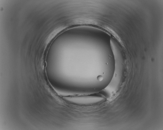 X0000067910885200604271915