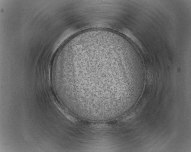 X0000067910886200604271915