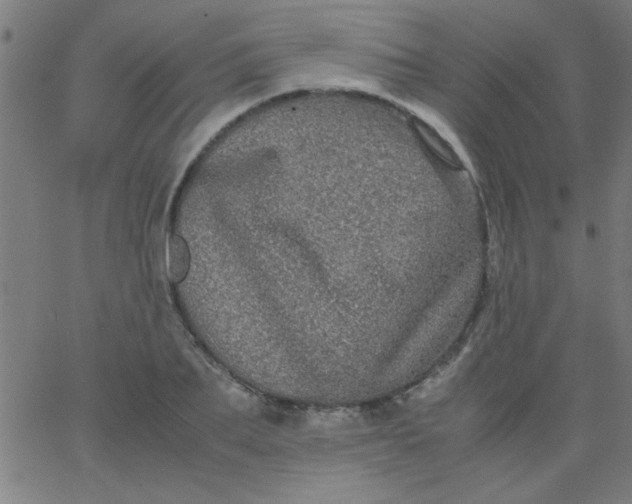 X0000067910887200604271915