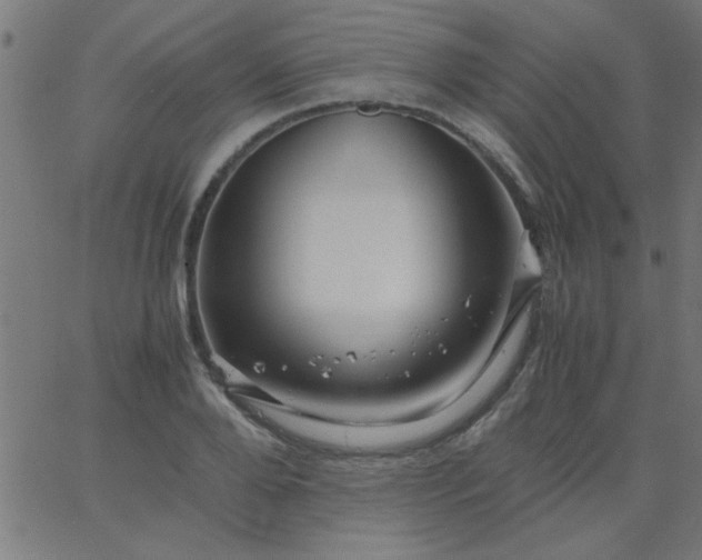 X0000067910888200604271915