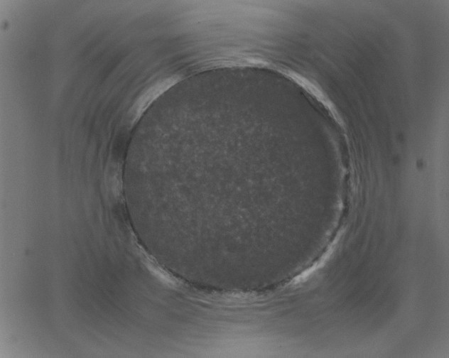 X0000067910889200604271915