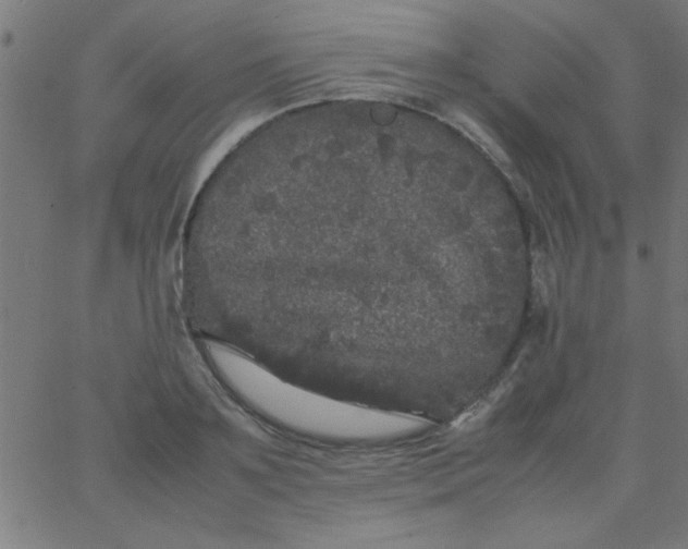 X0000067910891200604271915