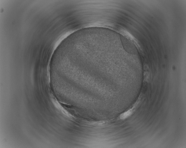 X0000067910892200604271915