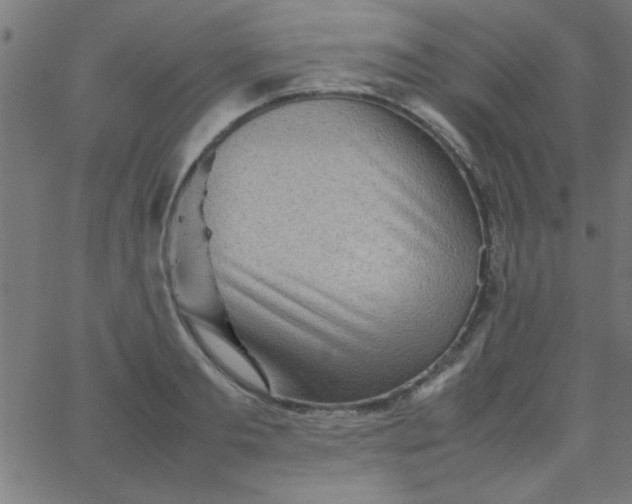 X0000067910893200604271915