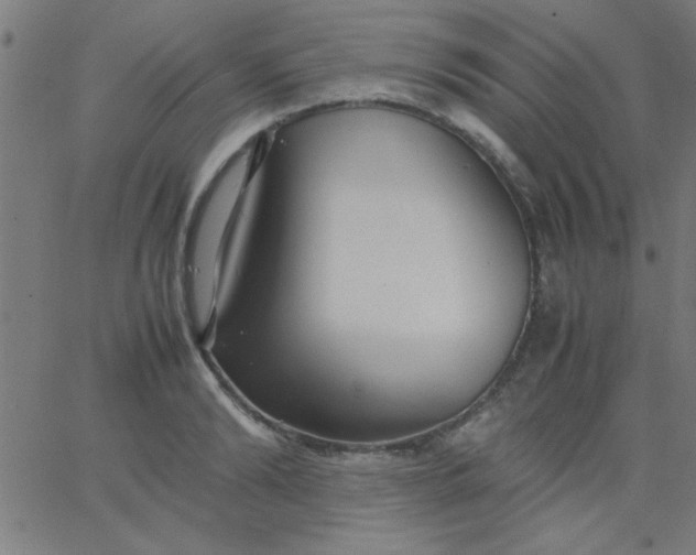 X0000067910894200604271915