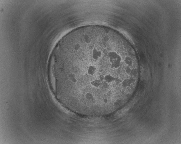 X0000067910895200604271915