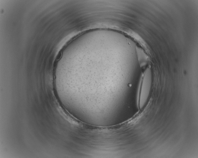 X0000067910896200604271915