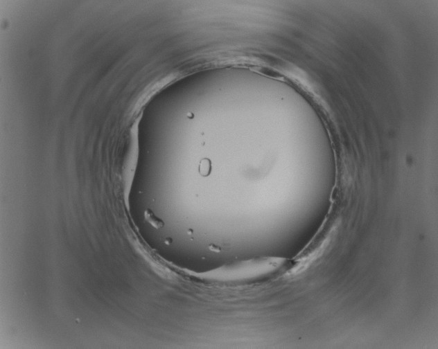 X0000067910897200604271915