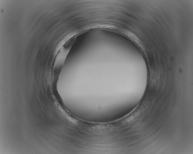 X0000067910898200604271915