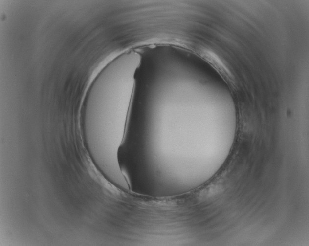 X0000067910900200604271915