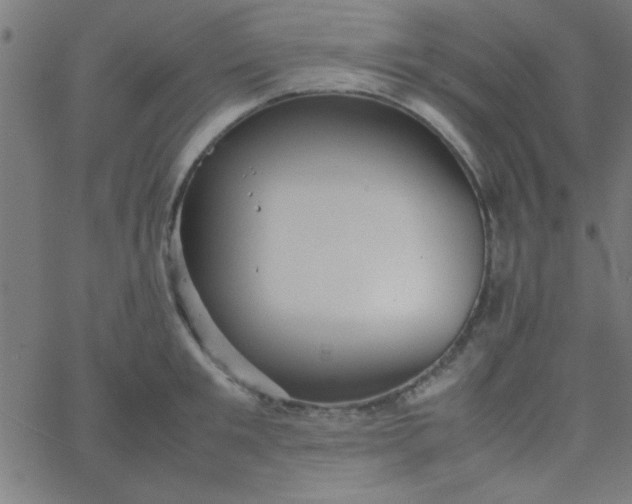 X0000067910901200604271915