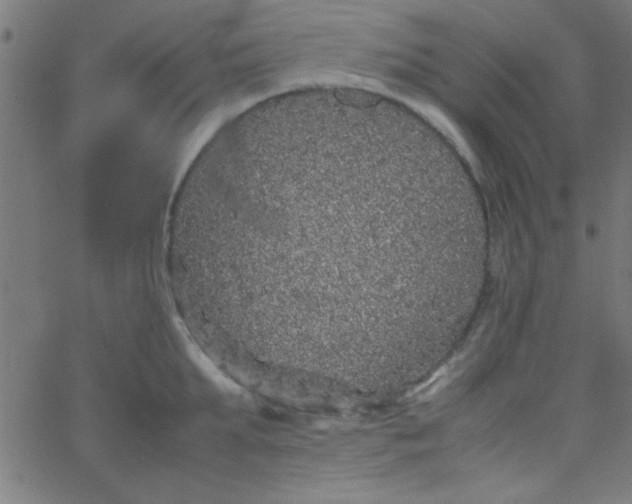 X0000067910903200604271915