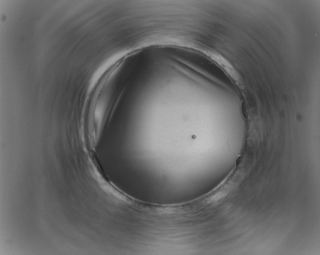 X0000067910904200604271915