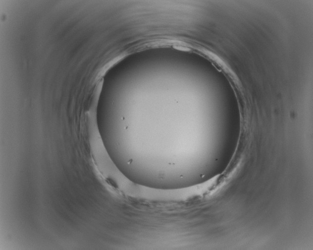 X0000067910905200604271915