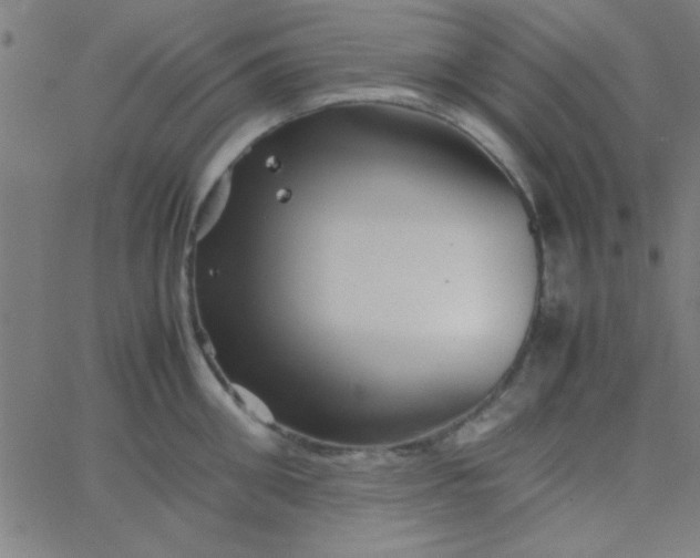 X0000067910906200604271915