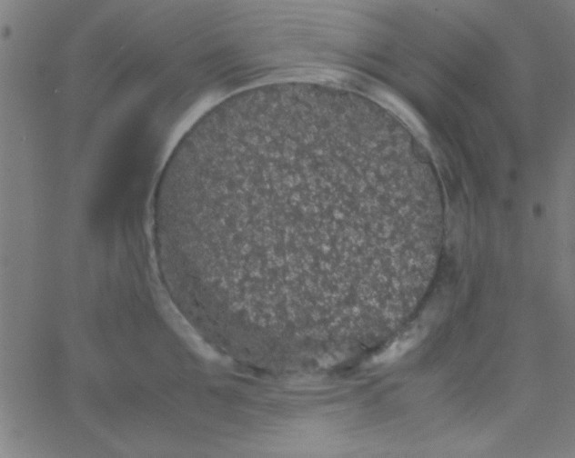 X0000067910907200604271914