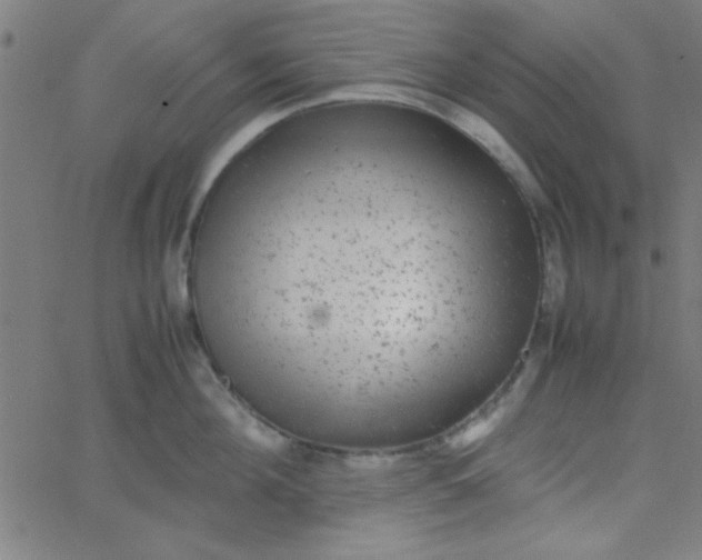 X0000067910908200604271914