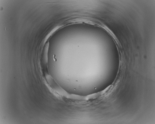 X0000067910909200604271914