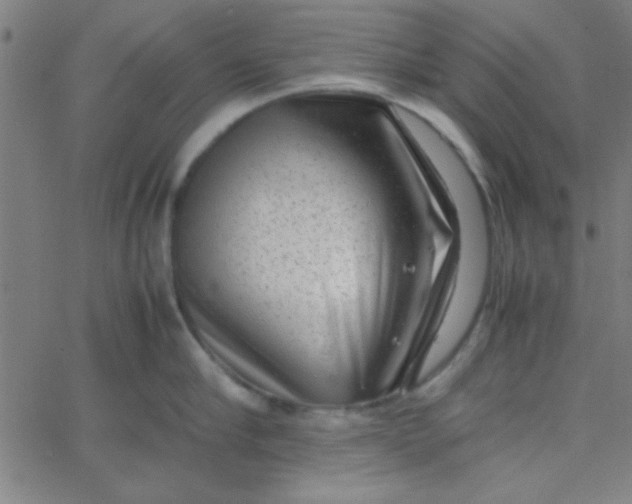 X0000067910910200604271914