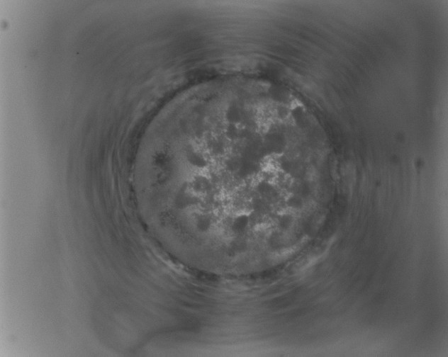 X0000067910913200604271914