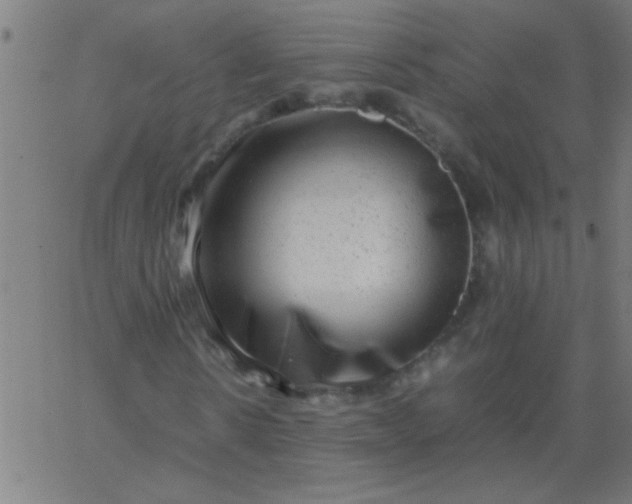 X0000067910914200604271914