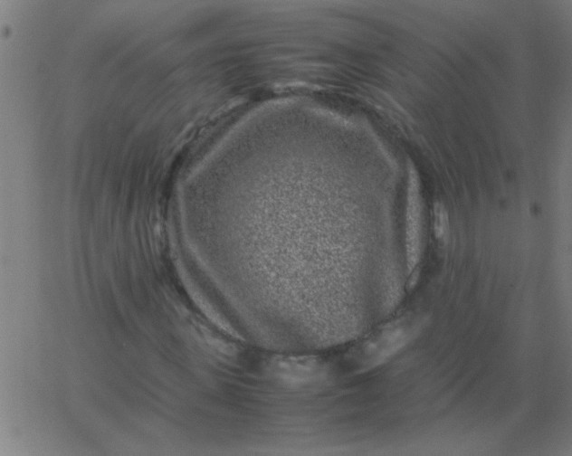 X0000067910915200604271914