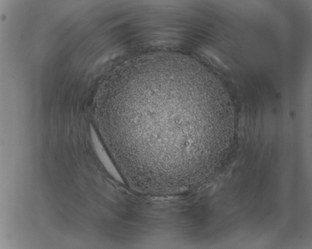 X0000067910917200604271914