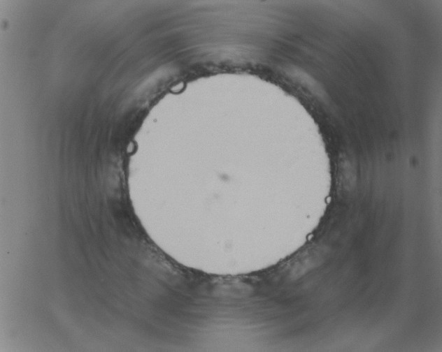 X0000067910918200604271914