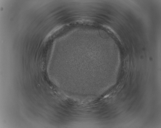 X0000067910919200604271914