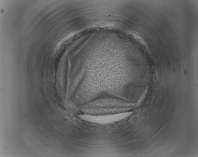 X0000067910920200604271914