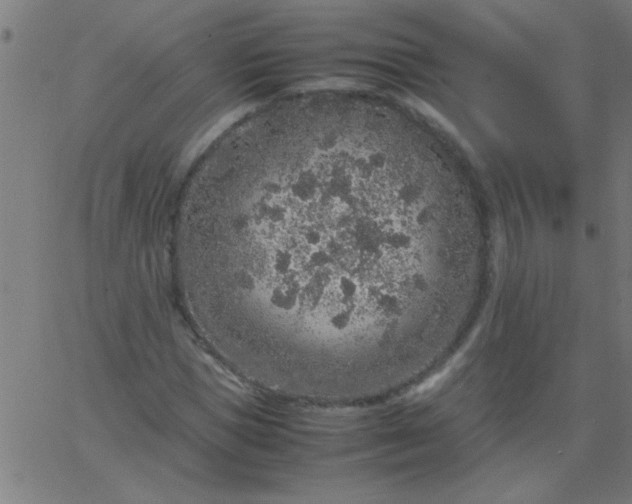 X0000067910921200604271914