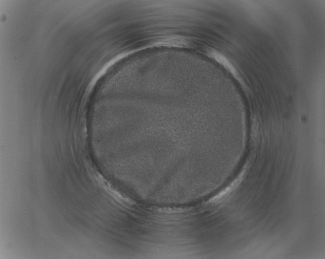 X0000067910923200604271914