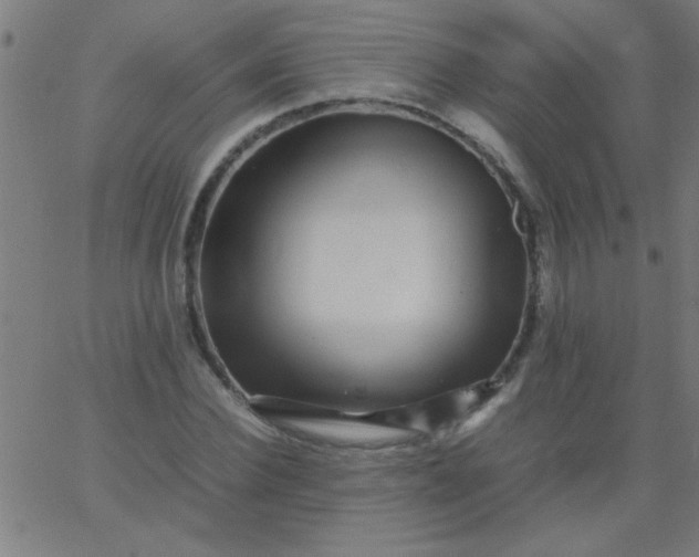 X0000067910924200604271914