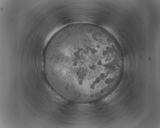 X0000067910925200604271914