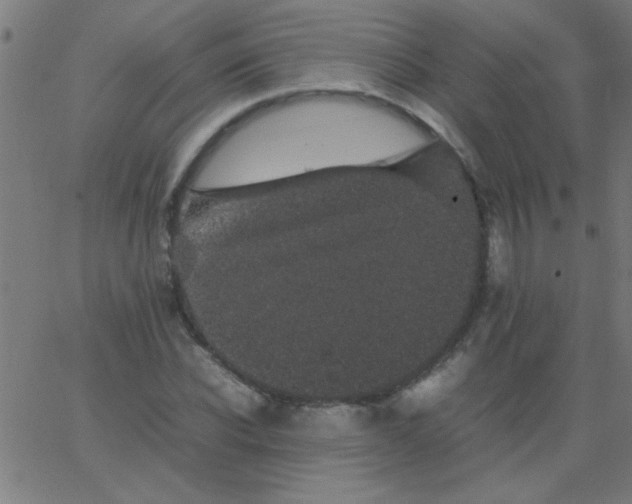 X0000067910926200604271914