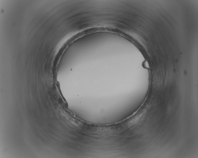 X0000067910927200604271914