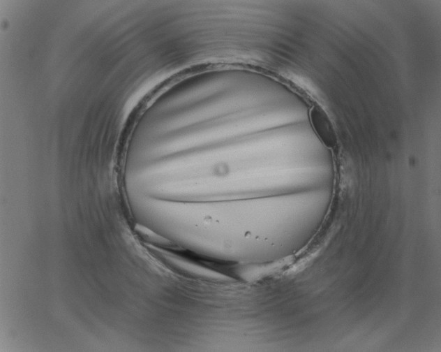 X0000067910928200604271914