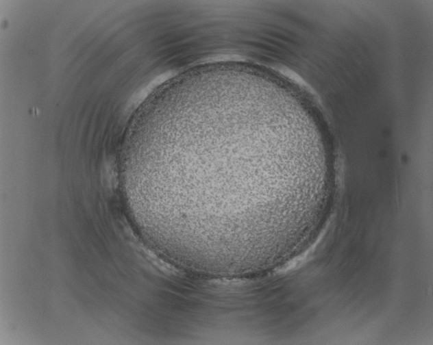 X0000067910929200604271914