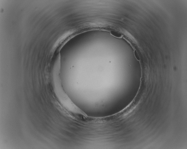 X0000067910930200604271914