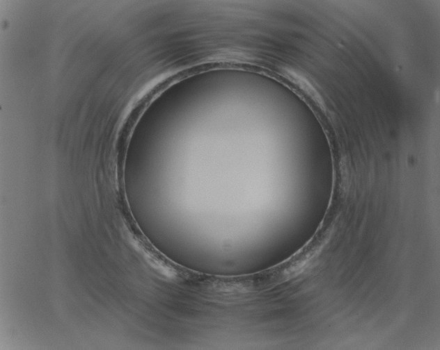 X0000067910931200604271914