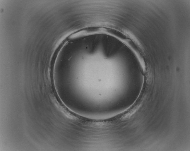 X0000067910932200604271914