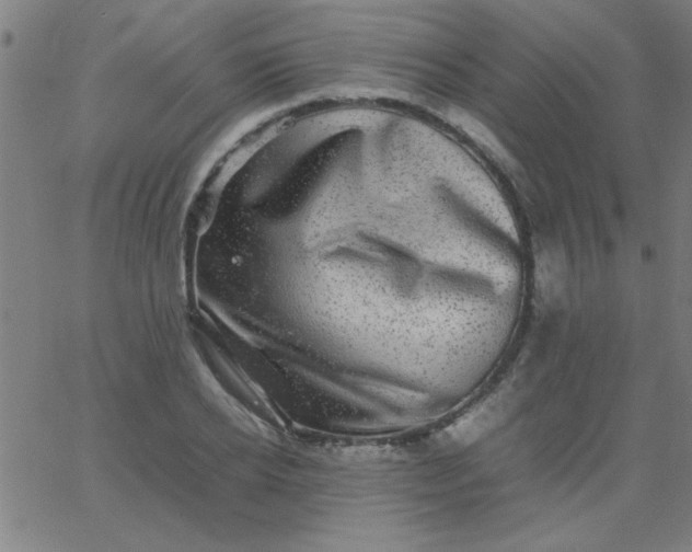 X0000067910934200604271914