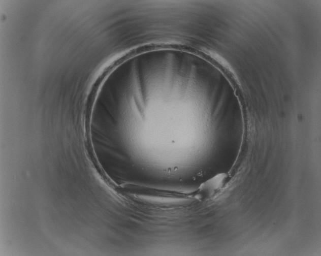 X0000067910935200604271914