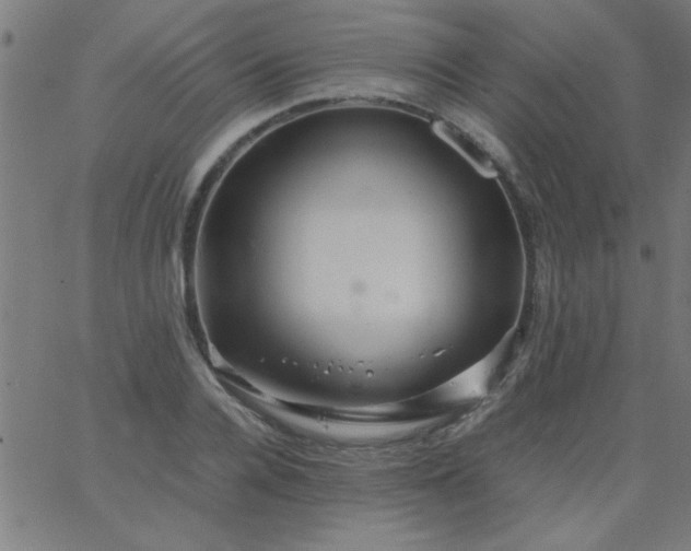 X0000067910936200604271914