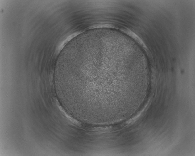 X0000067910937200604271914