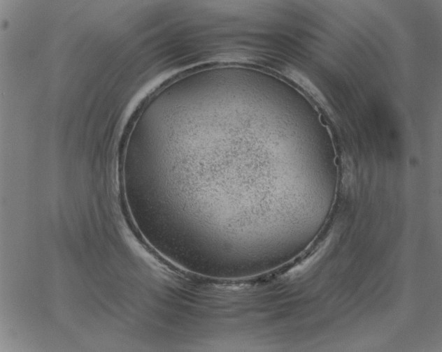 X0000067910939200604271914