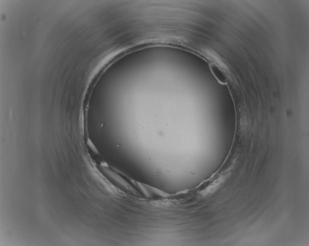 X0000067910940200604271914