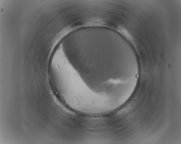 X0000067910941200604271914