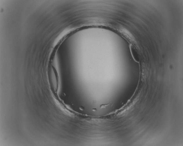 X0000067910942200604271914