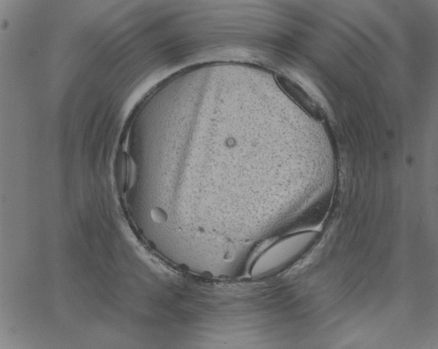 X0000067910944200604271914